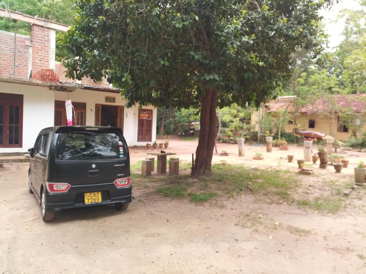 Silent Peacock Villa And Peacock Cafe 坦加拉 外观 照片