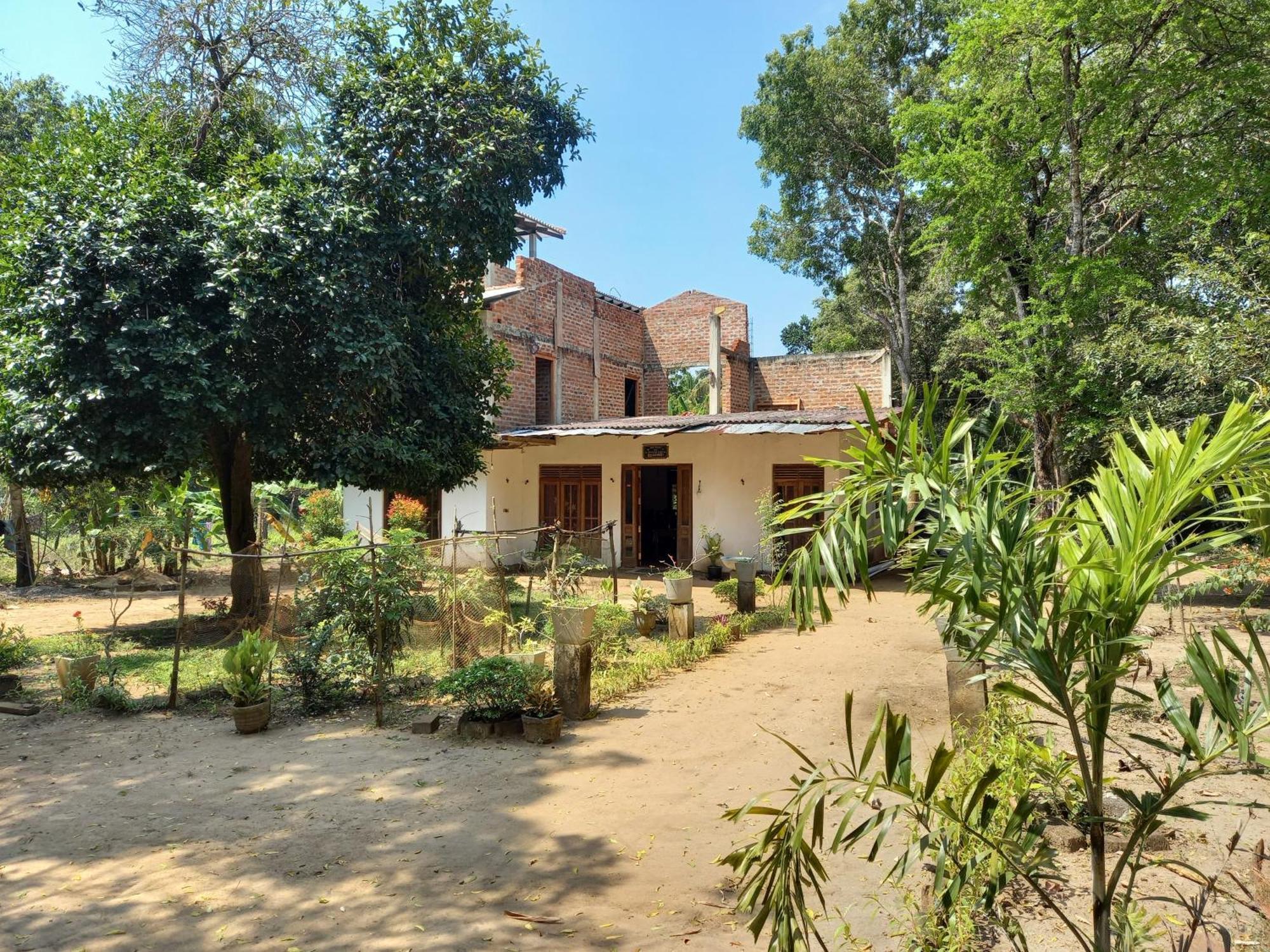 Silent Peacock Villa And Peacock Cafe 坦加拉 外观 照片